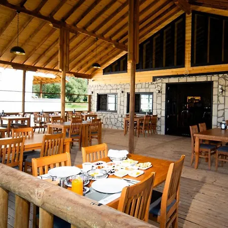 Mukha Ormanli