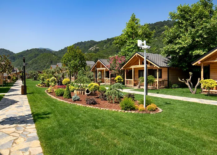 לינה וארוחת בוקר Mukha *